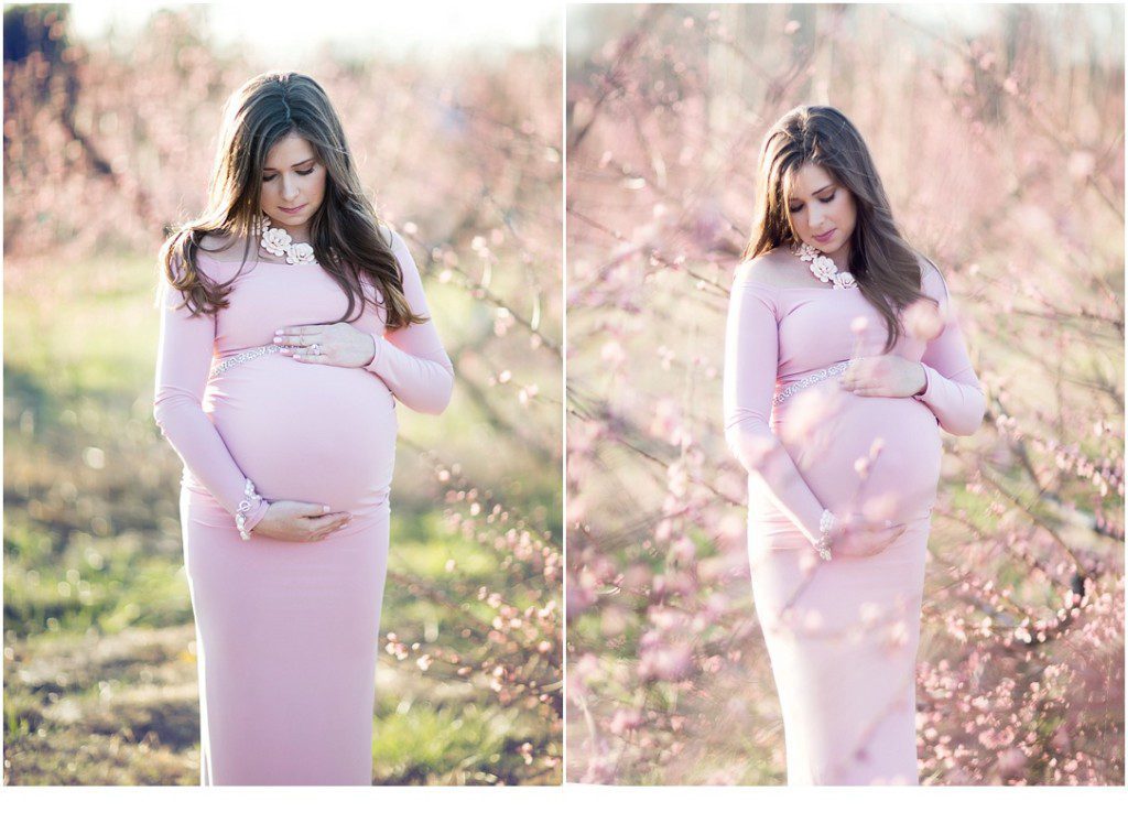 maternity pictures in an orchard
