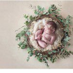 organic baby pictures burlington nc