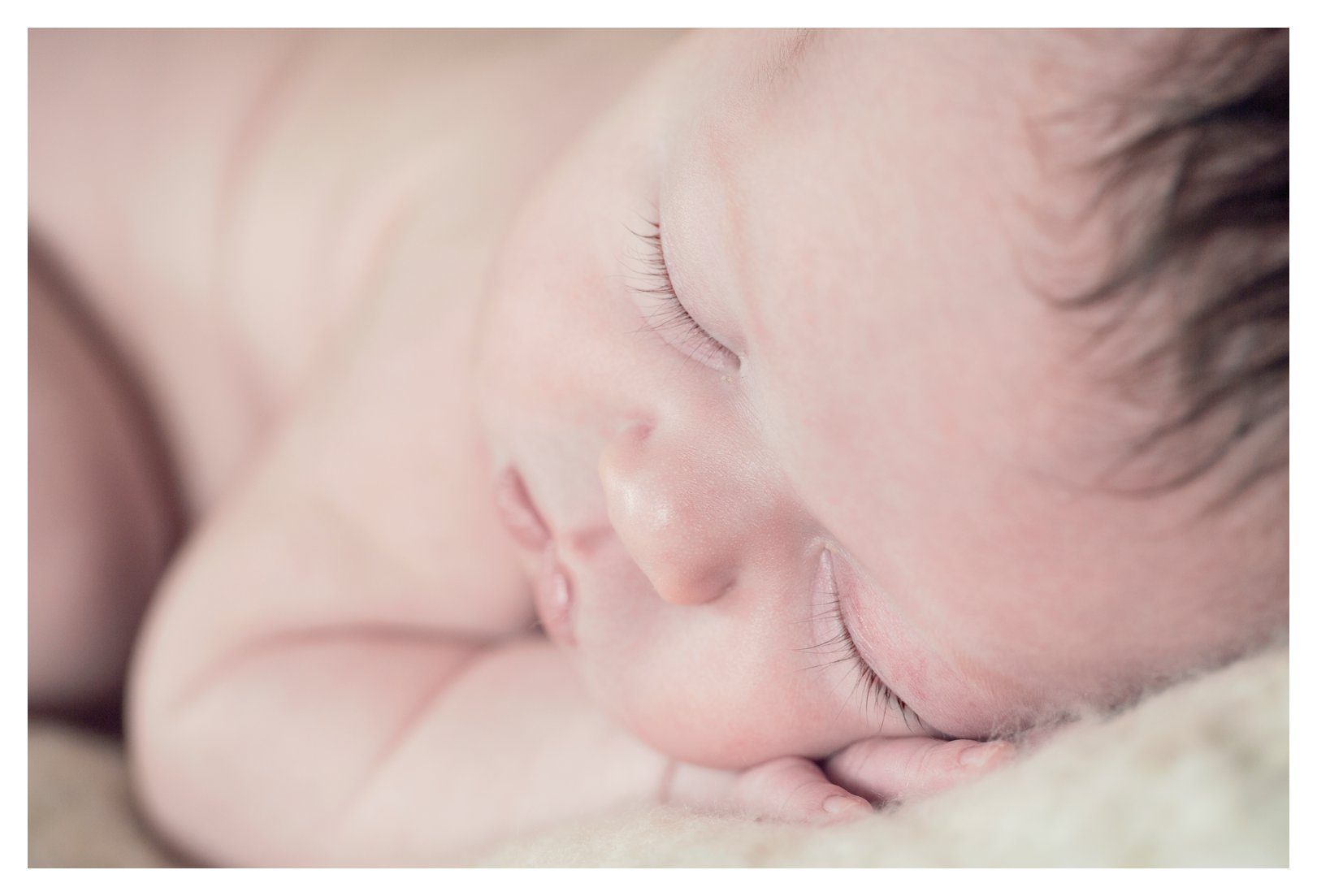 greensboro newborn photographer